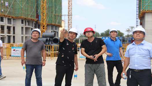 华体会官方网页版董事会巡检圆满完成